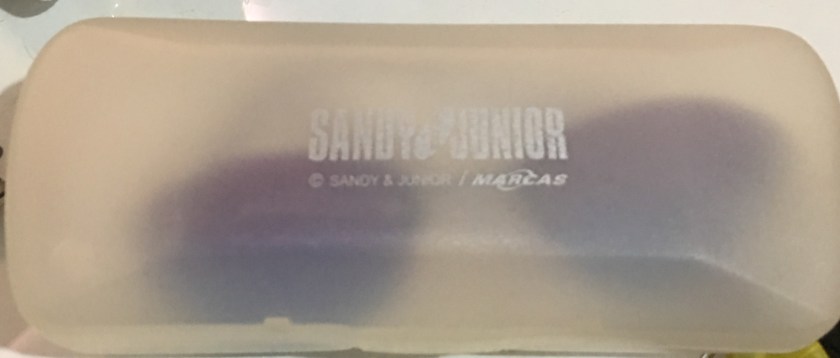 Óculos Sandy e Júnior